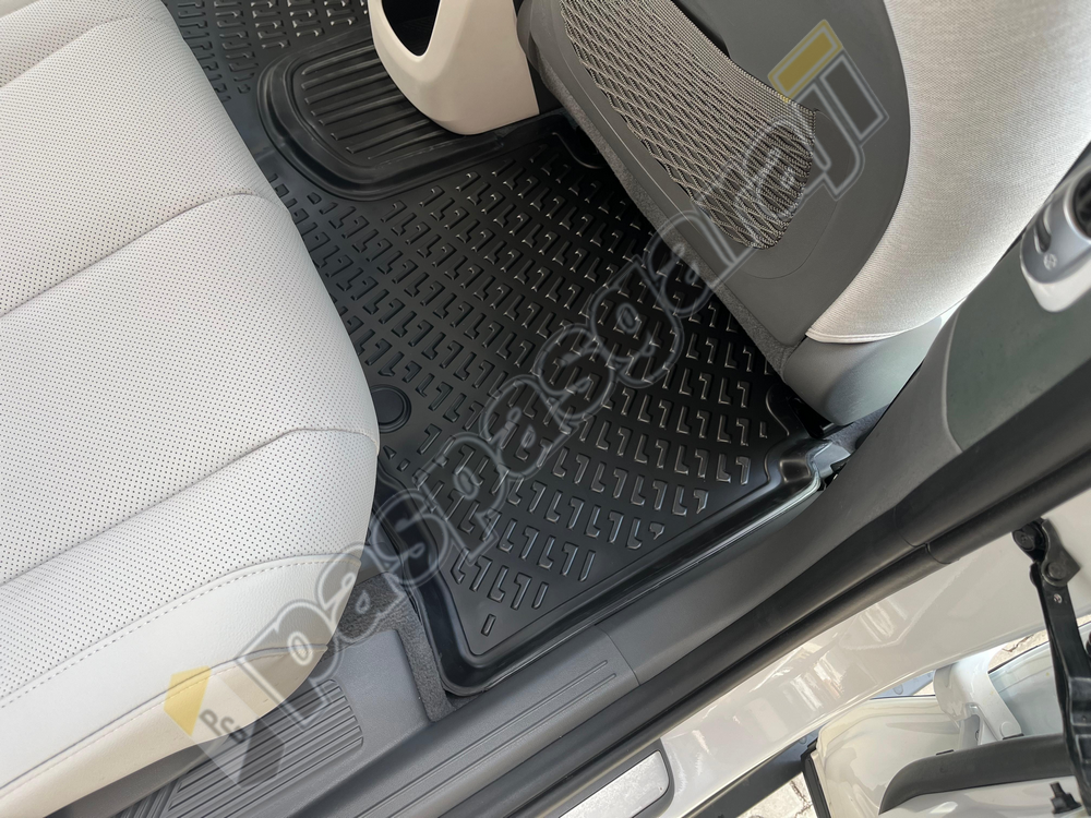 Hyundai İoniq 5 3D Havuzlu Paspas, 2021- Sonrası
