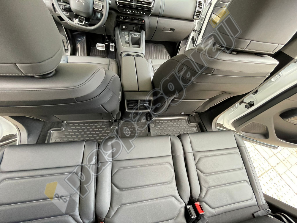 Kaiser Citroen C5 Aircross 2019 Sonrası 3D Havuzlu Paspas