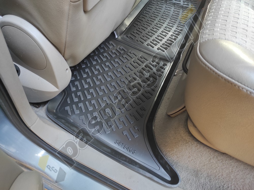 Kaiser Renault Scenic 2 Havuzlu 3D Paspas, 2003-2009