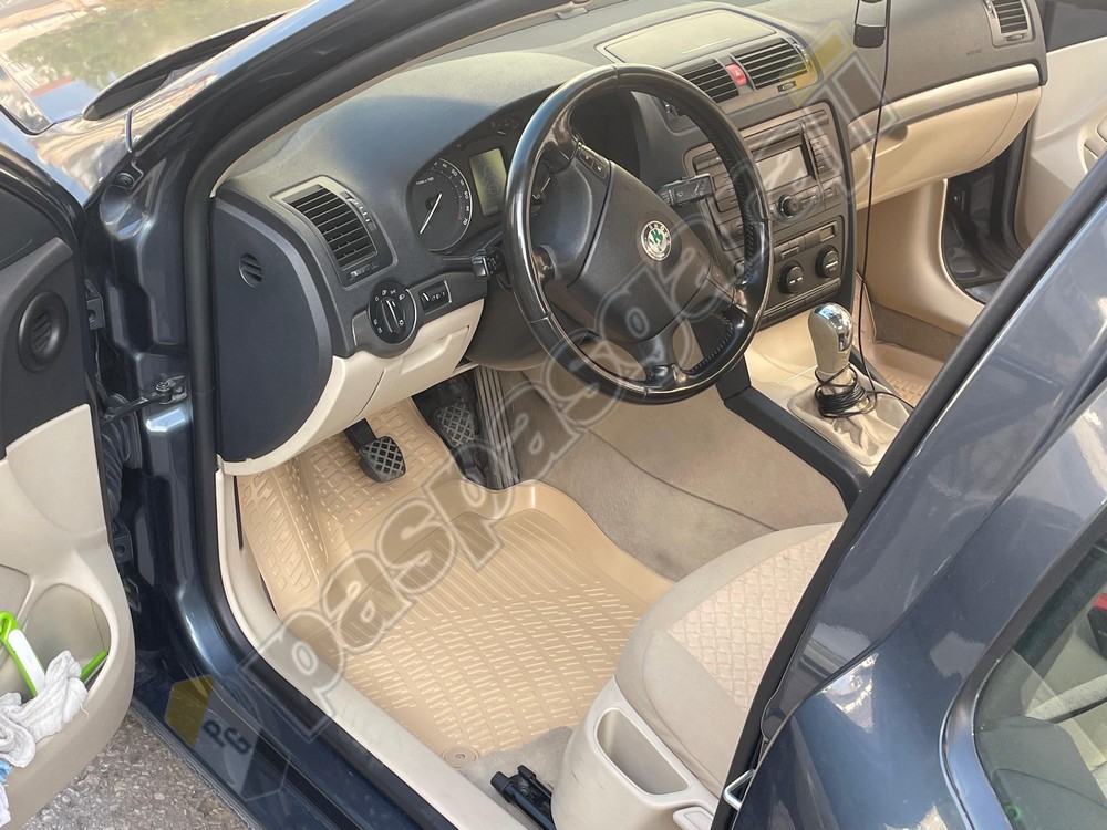 Kaiser Skoda Octavia A5 BEJ Havuzlu 3D Paspas, 2004-2013