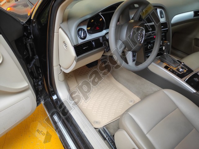 Audi A6 C6 Bej Renk 3D Havuzlu Paspas, 2004-2011