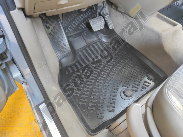 Kaiser Renault Scenic 2 Havuzlu 3D Paspas, 2003-2009